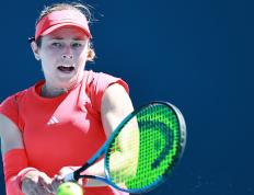 九游体育-科维托娃遭遇十连败，利物浦教练面临压力！的简单介绍